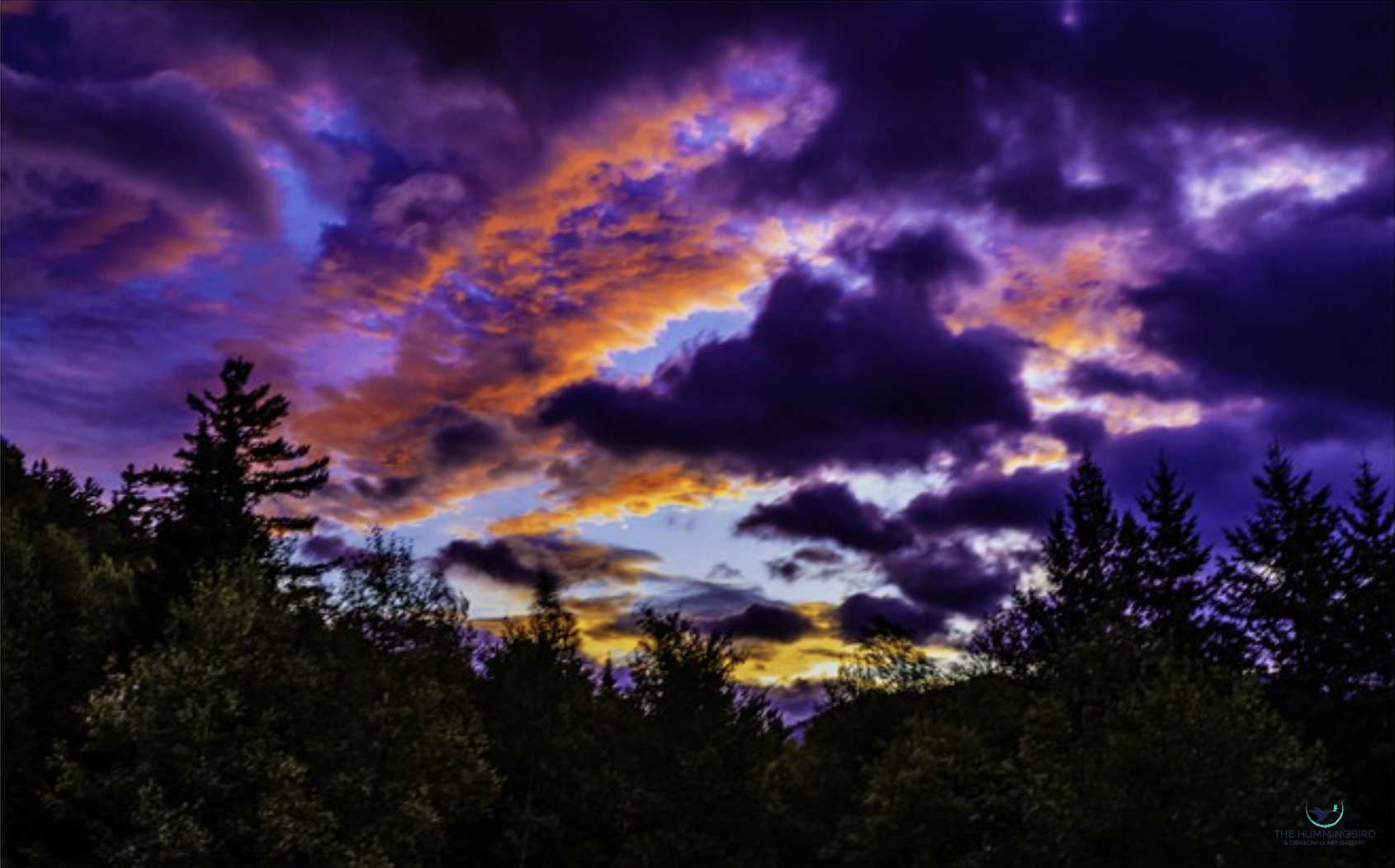 "Adirondack Sky"
 Al Kelman 
Photography 11" x 17" 
2023 
$400 
