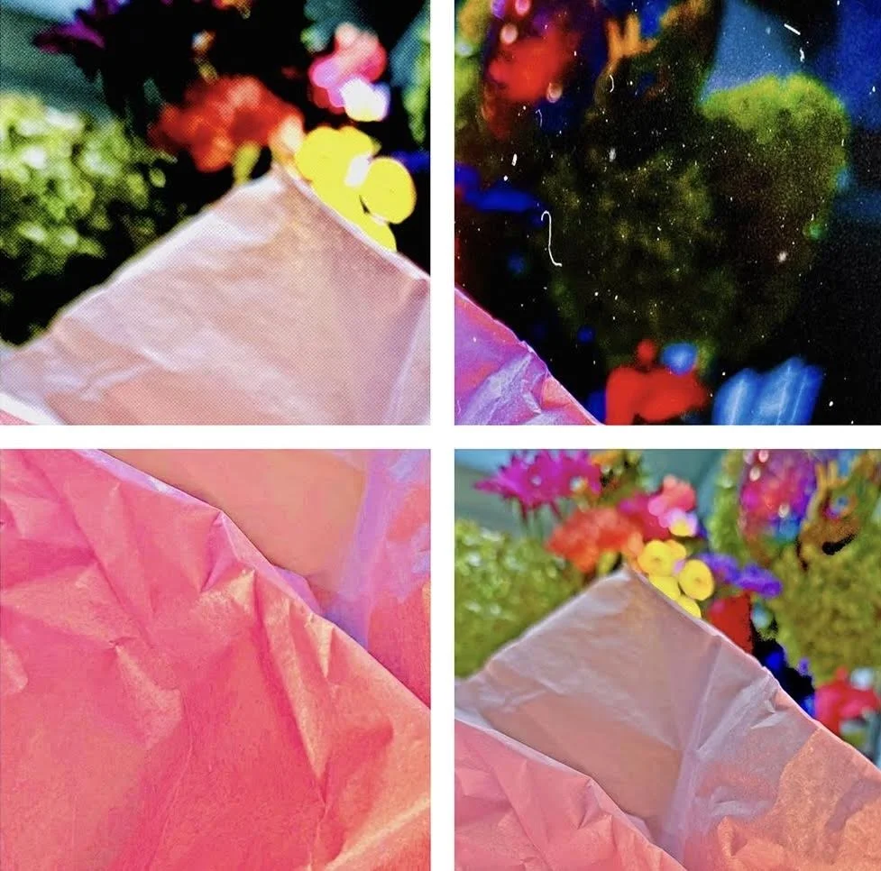 "Flowers Unwrapped" Sylvia Bandyke Royal Oak, MI, USA Photography 12" x 12" 2025 $350 