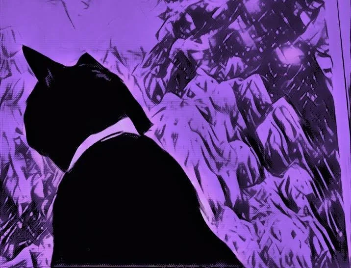 "The Observer" 
Jennifer Weber Mixed Media 
11" x 18" 
2026 
SOLD 