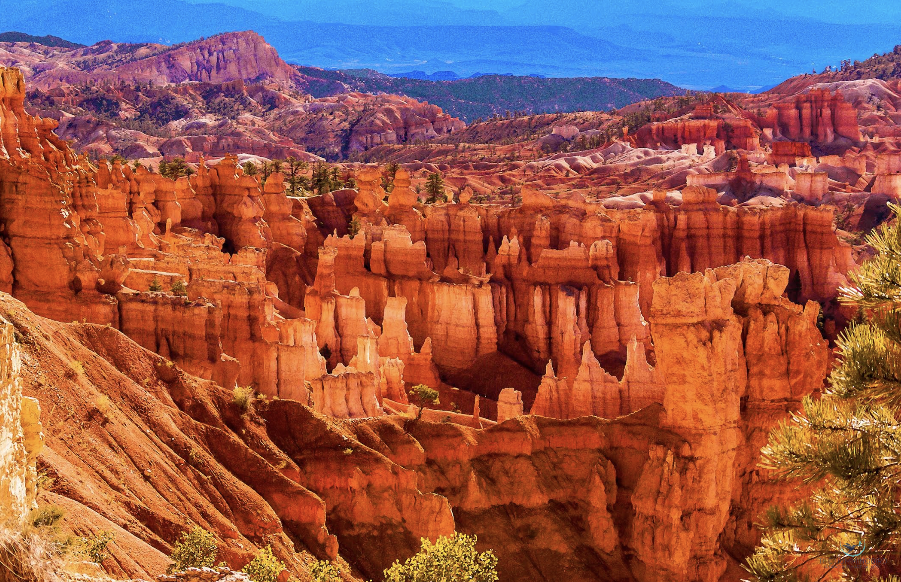 "Bryce Canyon Amphitheater and Sinking Ship From Sunset Point" Rodney Buxton Denver, CO, USA 
Photography 20" x 30" 2025 
$600 