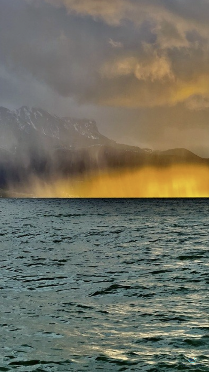 "On Fire" Brigitte B Burckhardt Photography 
80 cm x 45 cm 
2026 
$375 