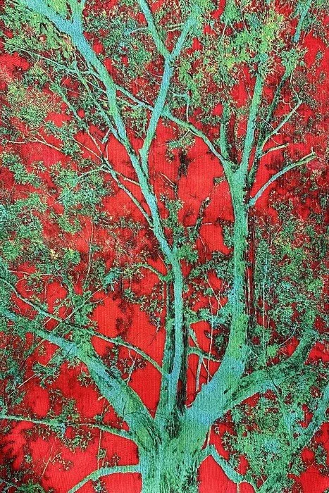 "Scorch" 
Vince Quevedo Fiber Arts 43" x 29" 
2026 
$1,000 