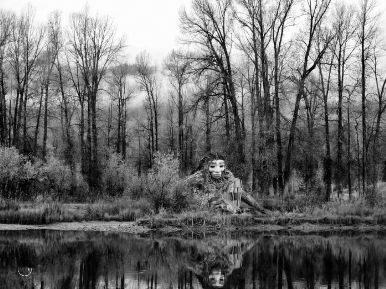 "Troll in the Trees" Sara Radecki 
Photographic Print 10" x 8" 
2023 
$50 