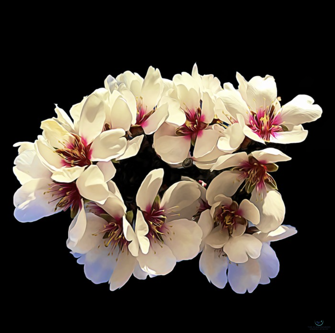 "Almond Blossoms" 
Gerrit van Ommering 
Photo Print on Gesso Board 6" x 6" 
2023 
$50 