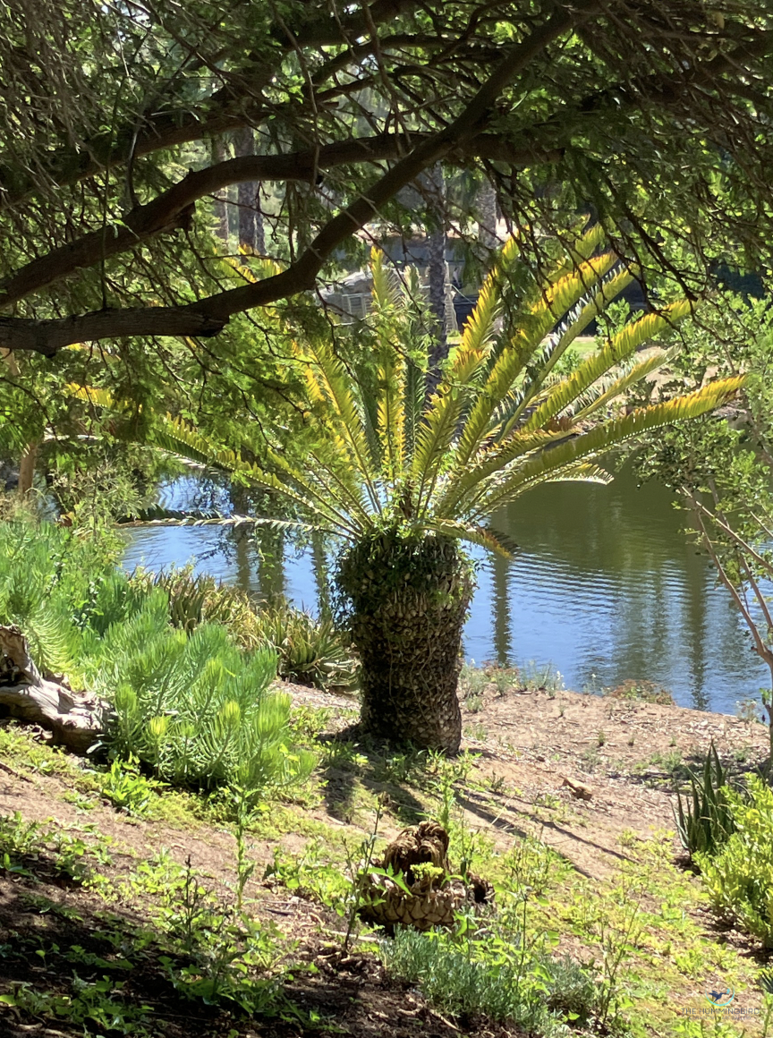 "Centerstage" Sheena Michaelson Photography 
24" x 18" 
2025 $320 