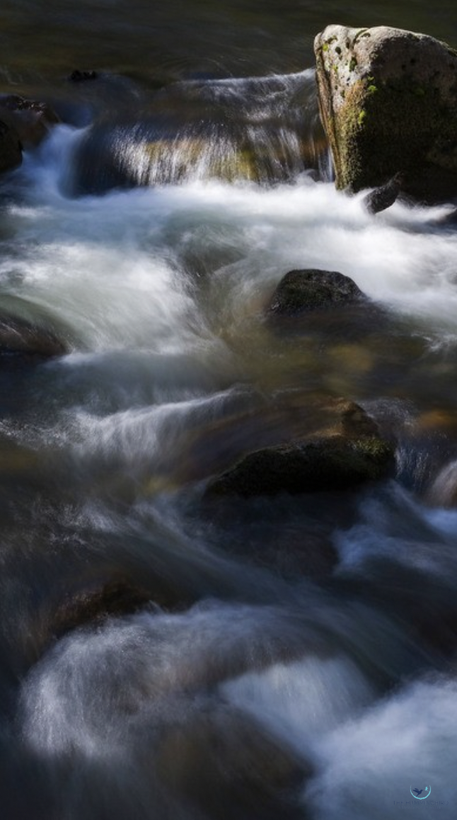 "Veins of the Valley" Dune Stewart Photography 7" x 13" 
2025 $250 