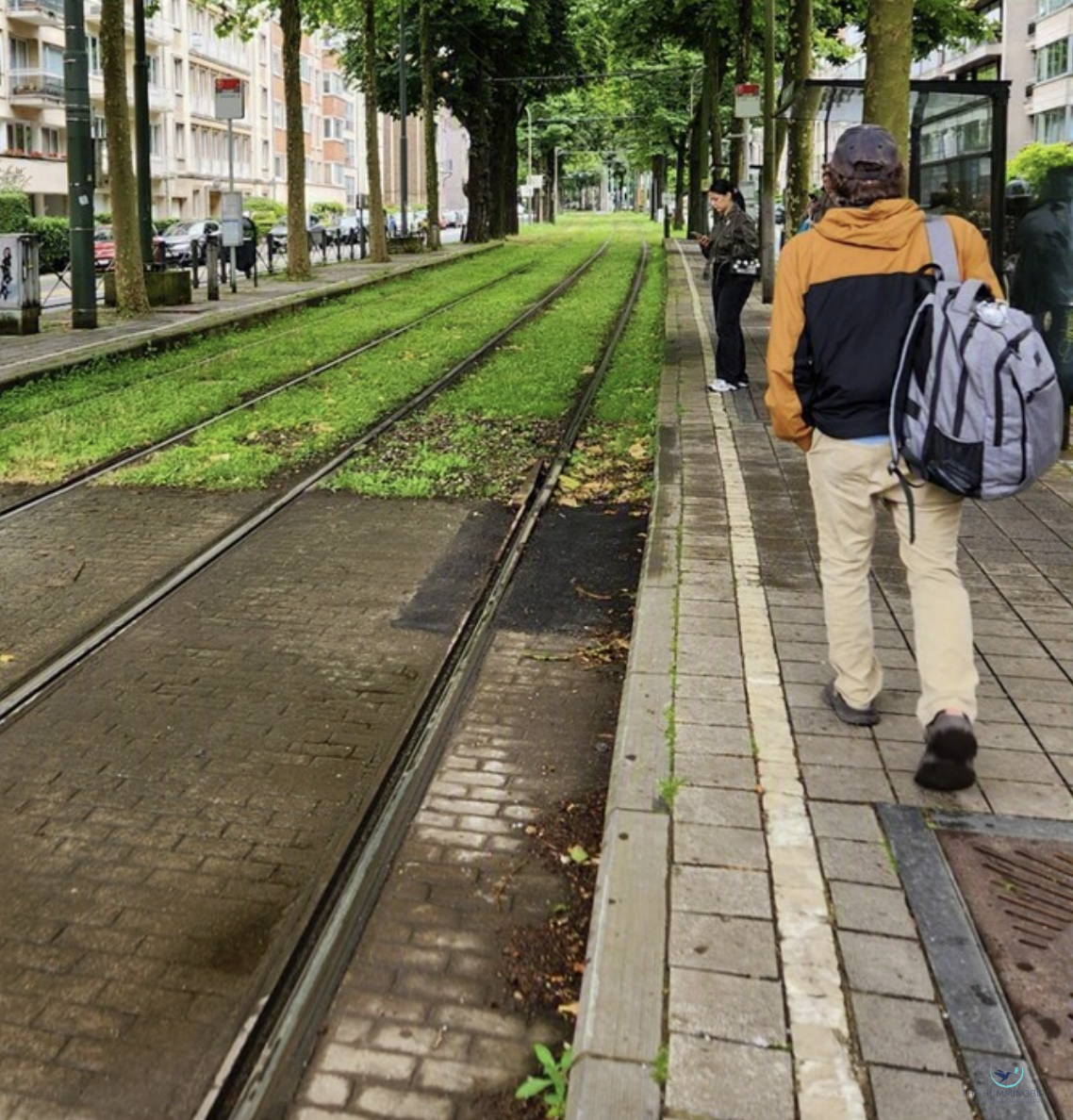 "Tram Tracks in Amsterdam" 
Shereen Lobdell Photography 14" x 14" 2024 $100 