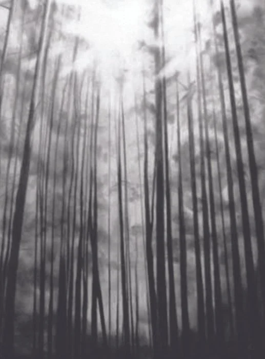 "David's Walk" Joyce Symoniak 
Fumage and Graphite 
24" x 18" 
2022 
$1,250 