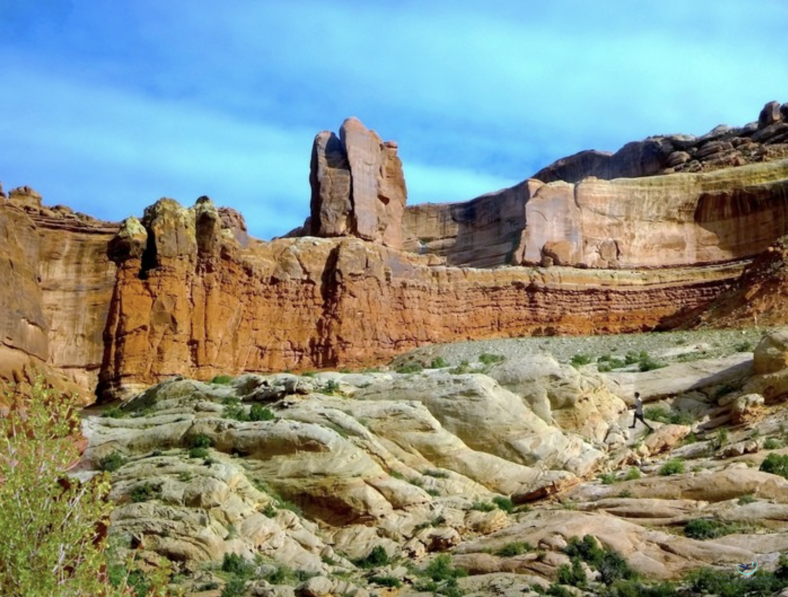"Monumental Valley Paths" Karen Safer Photography 10.5" x 14" 
2018 $800 