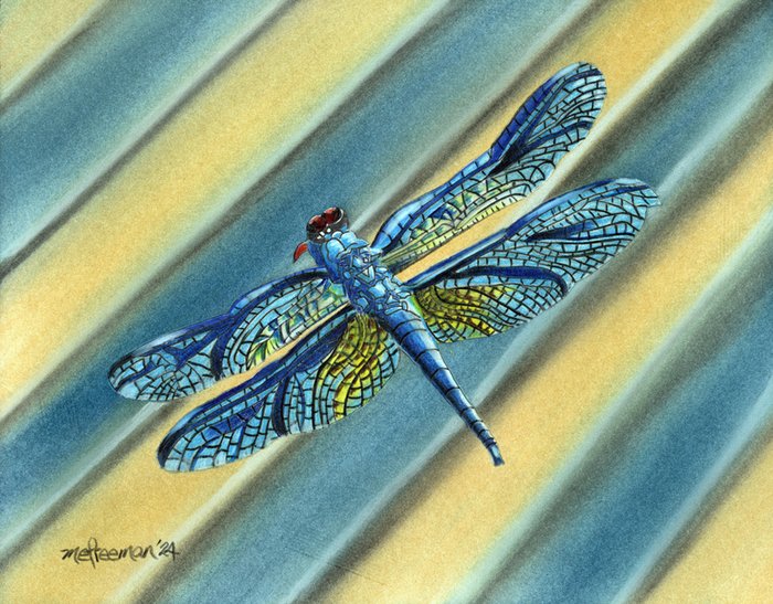"Dragonfly" Michael Freeman Colored Pencil and Pastel 8" x 10" 
2024 $750 