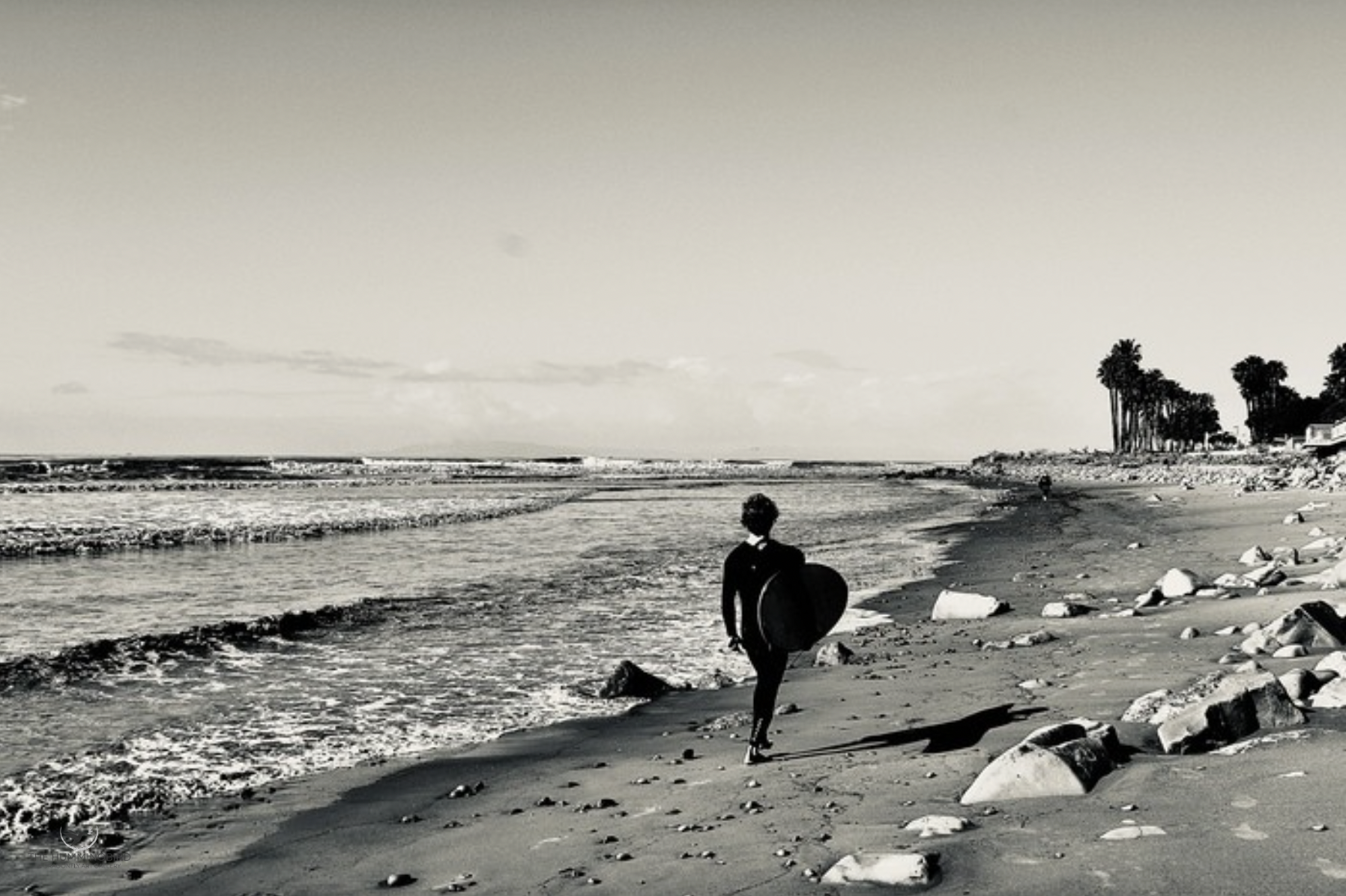 "Surfer Joe - Malibu, CA." D. DeWitt Fulton Photography 
2026 NFS 