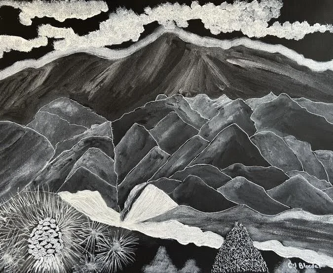 "White on Black 2026" Cassandra Bloedel 
Acrylic and Watercolor 16" x 20" 
2026 
$1,000 