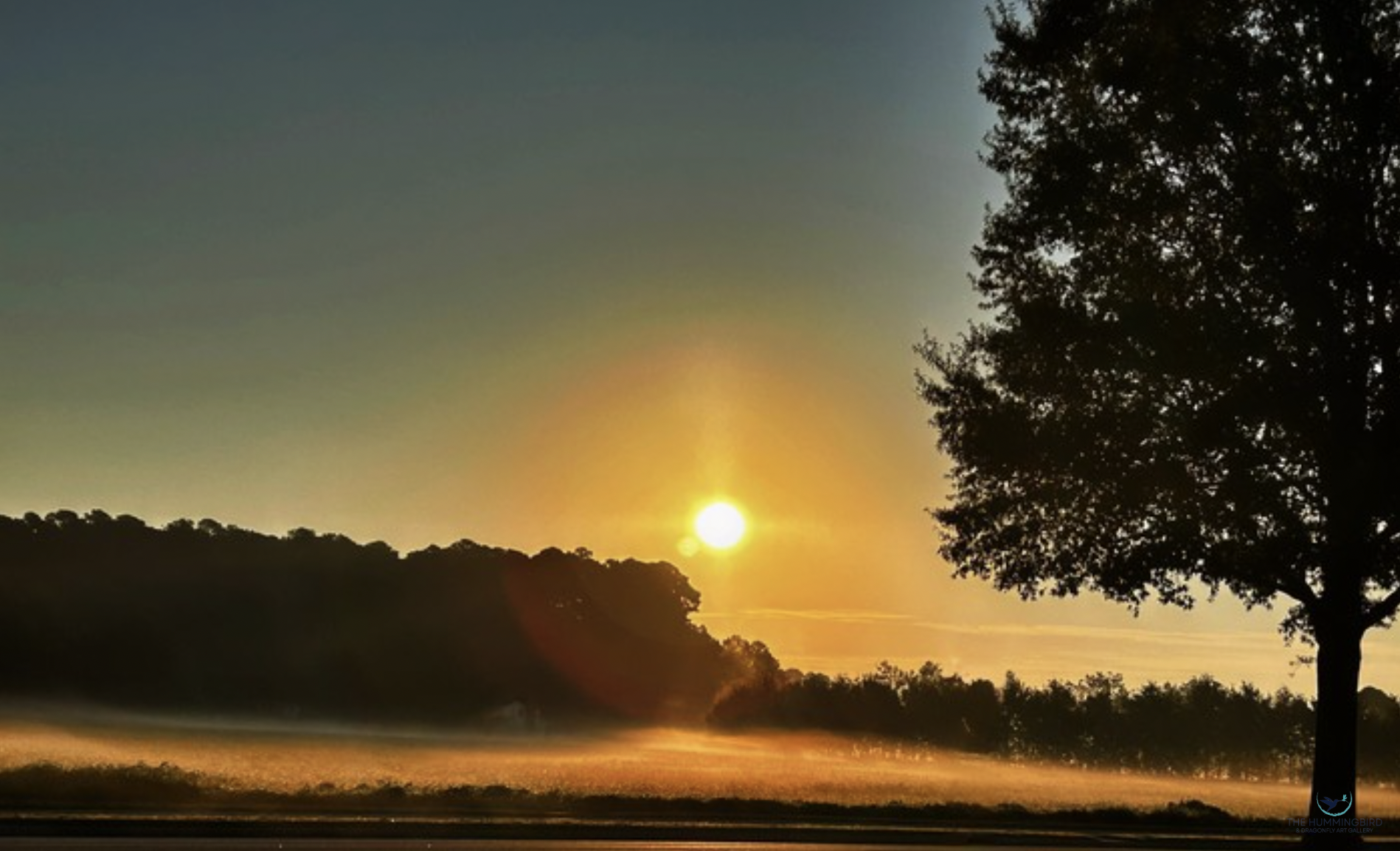 "Morning Glow" 
Anne McMahon 
Photography 
6" x 9" 
2025 
$125 