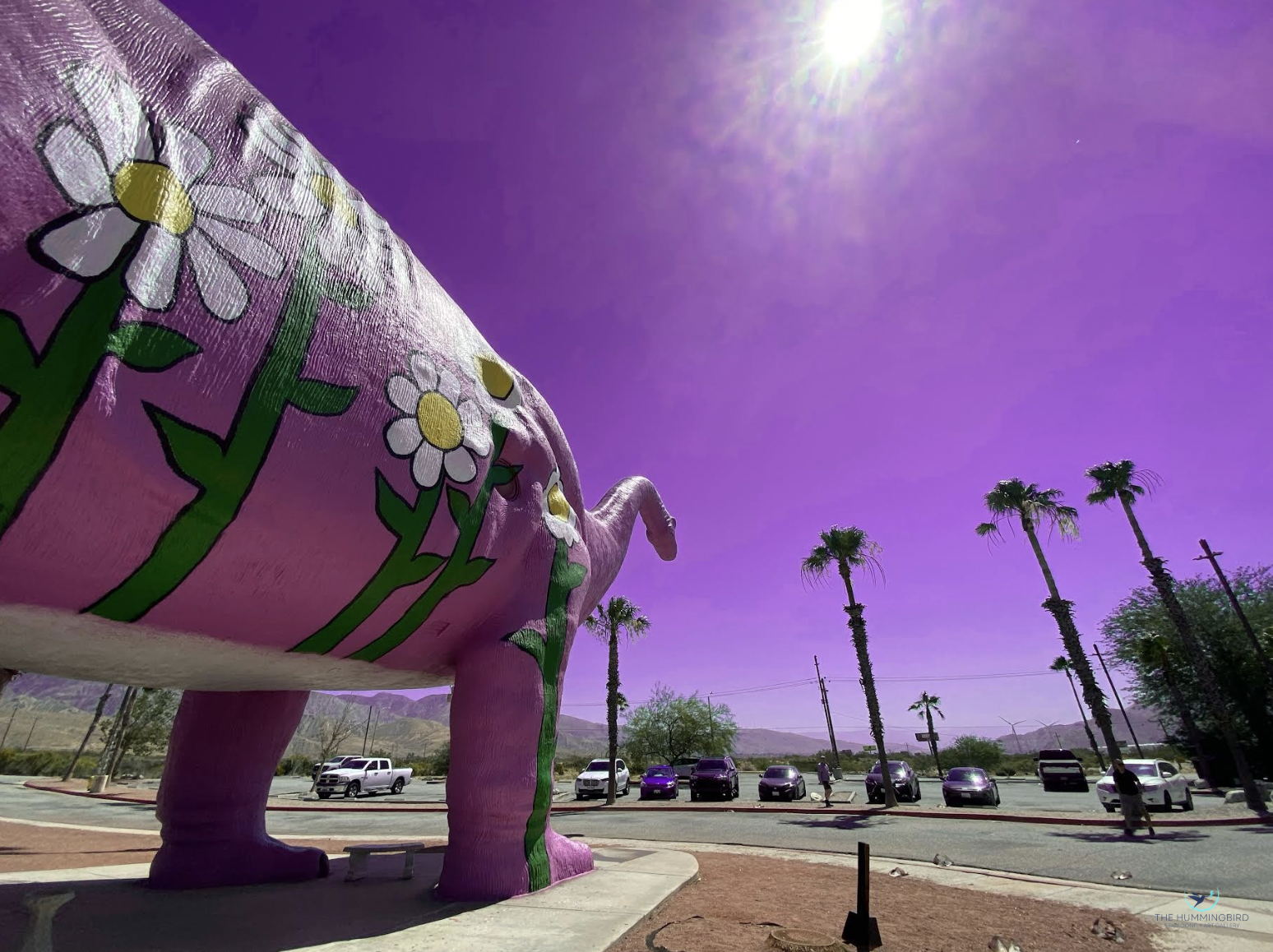 "Cabazon" 
KJ Winters Photography 
12" x 18" 
2026 
$400 