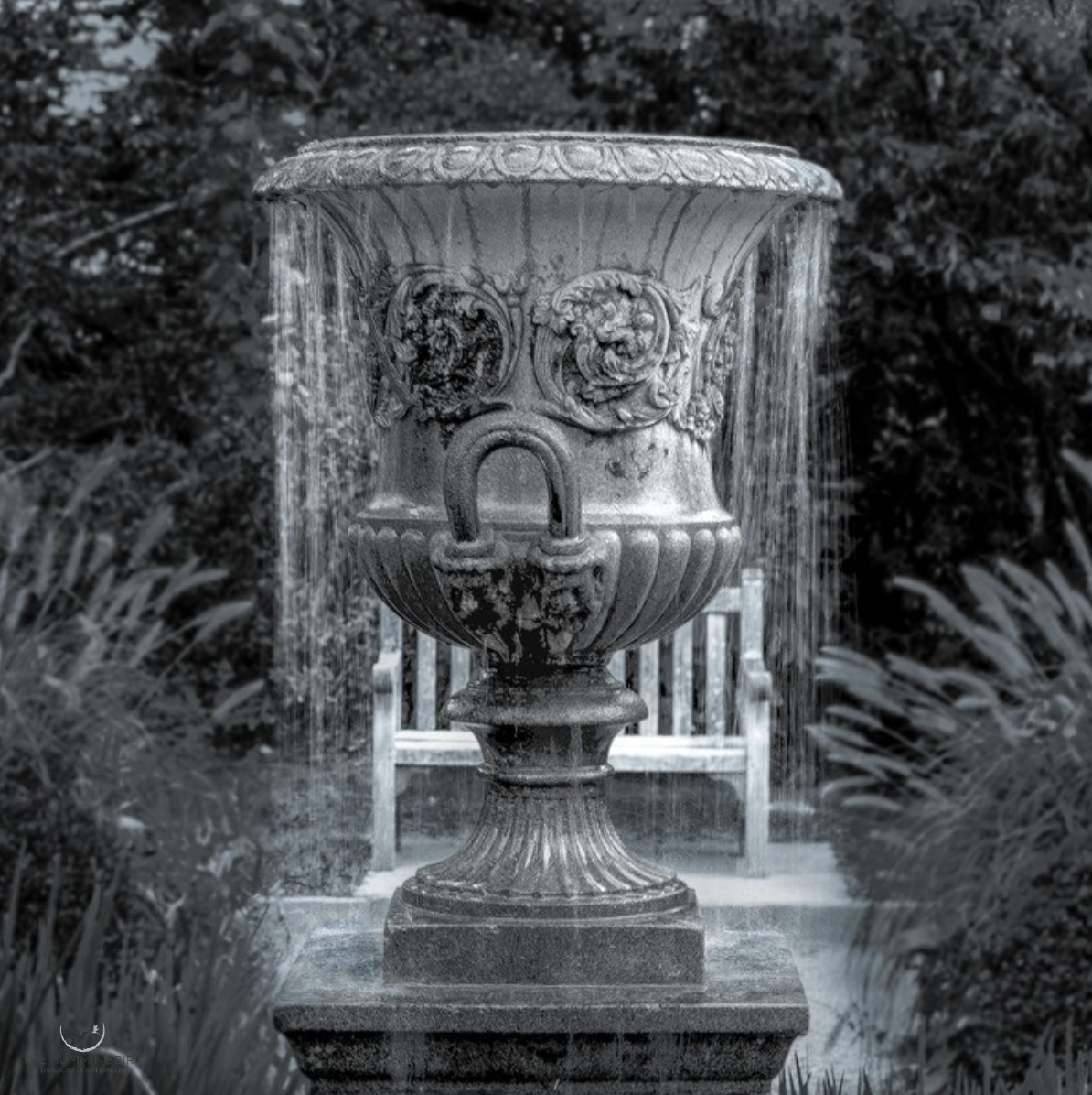 "Garden Urn" Charles Crabb Hahnemuehle German Etching Paper 
16" x 16" 2026 
$1,200 
