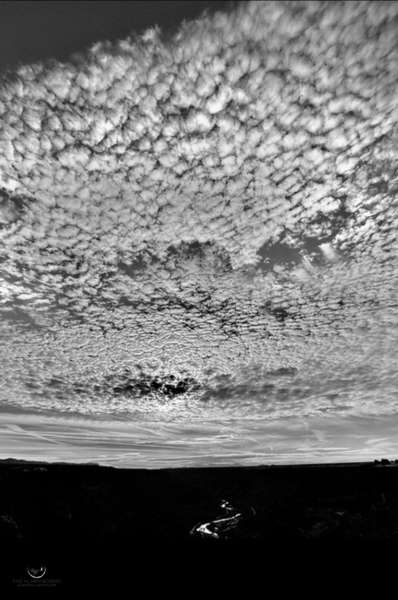"Rio Grande" Paolo Di Rosa Photography 
20" x 16" 2026 
$500 