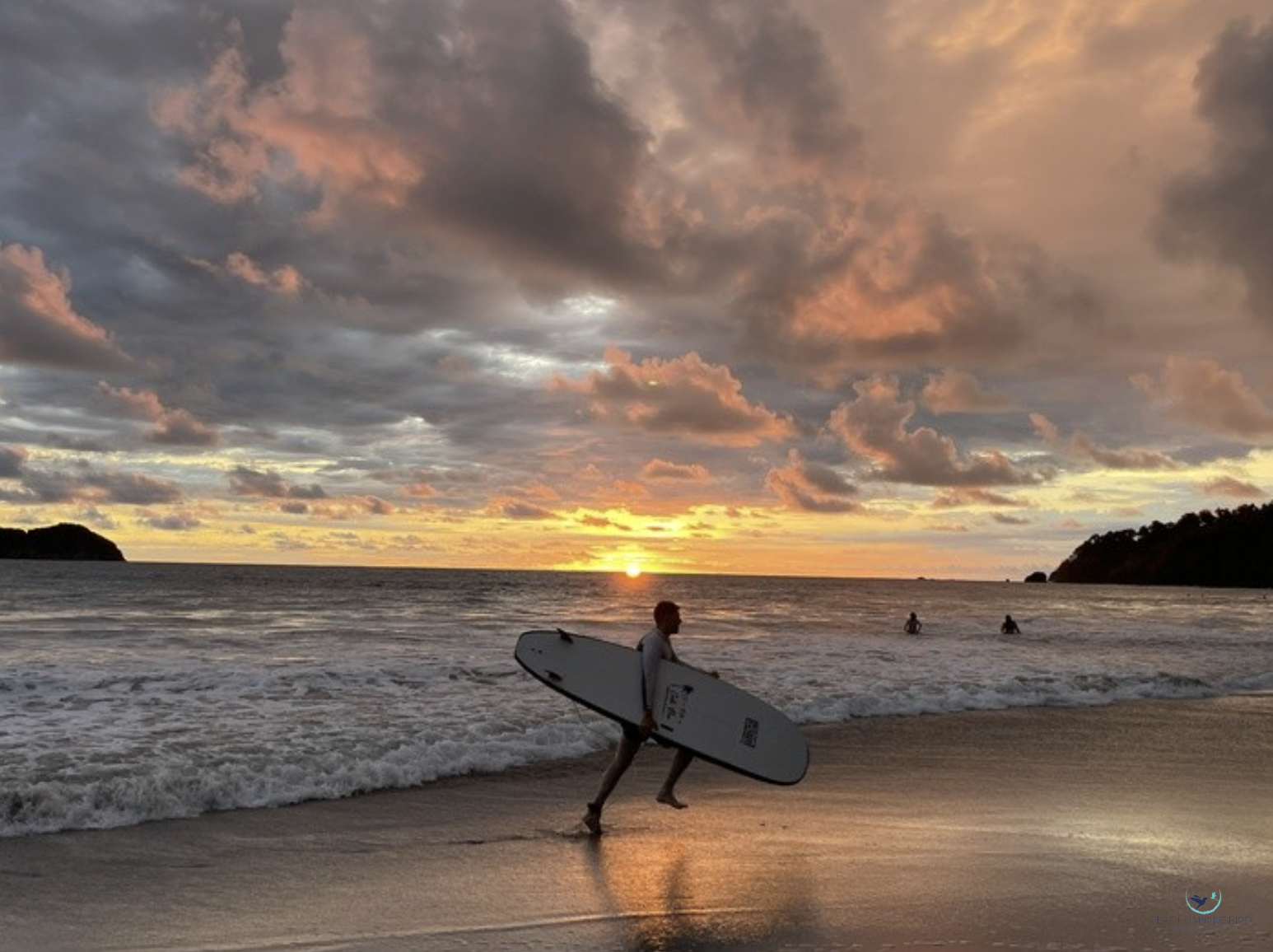 "Pura Vida" Ann Wolfe Photography 8.5" x 11" 
2026 $290 