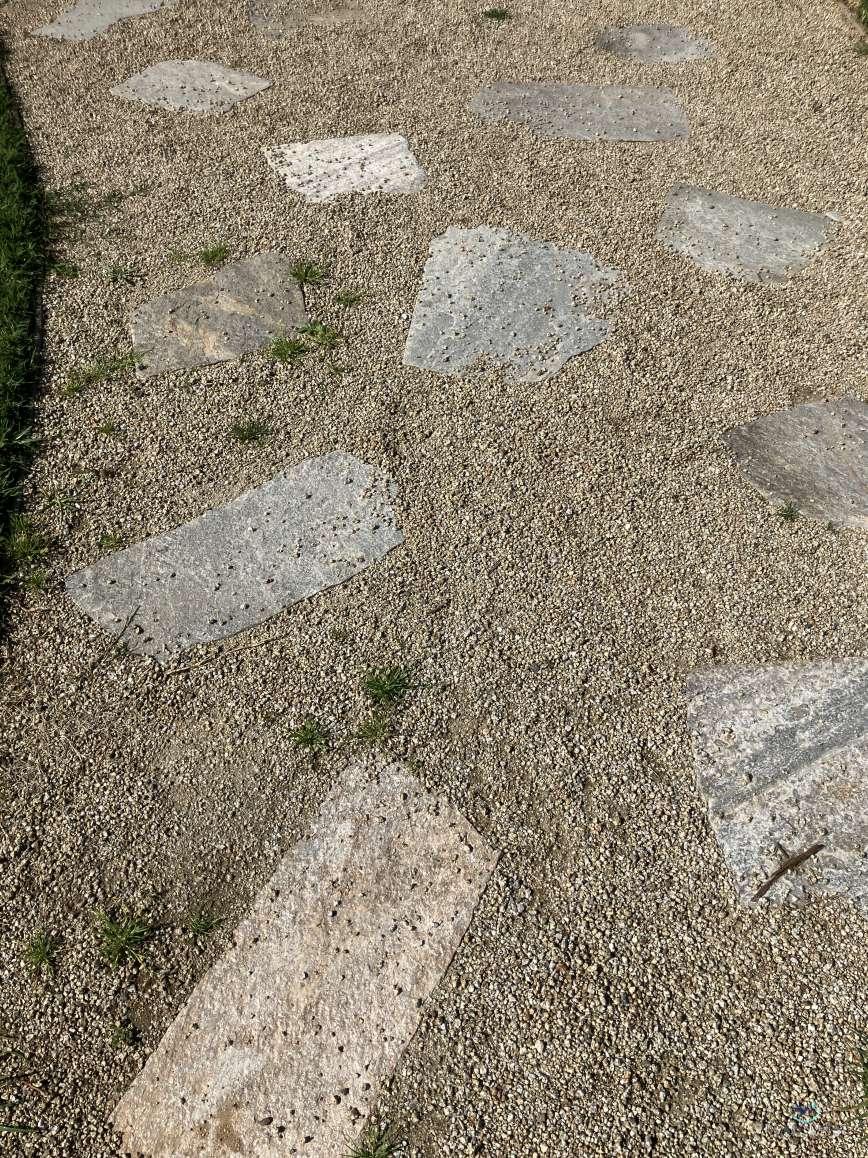 "Dancing Steps" Devin Snaillo Photography 
15" x 10" 
2026 $100 