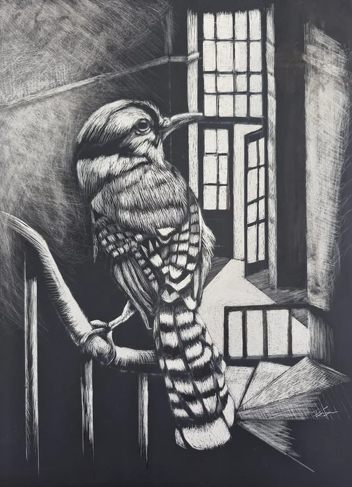 "Bird on the Stair" Barbara Dianne Sheehan 
Scratch Board 10" x 8" 
2024 
$250 