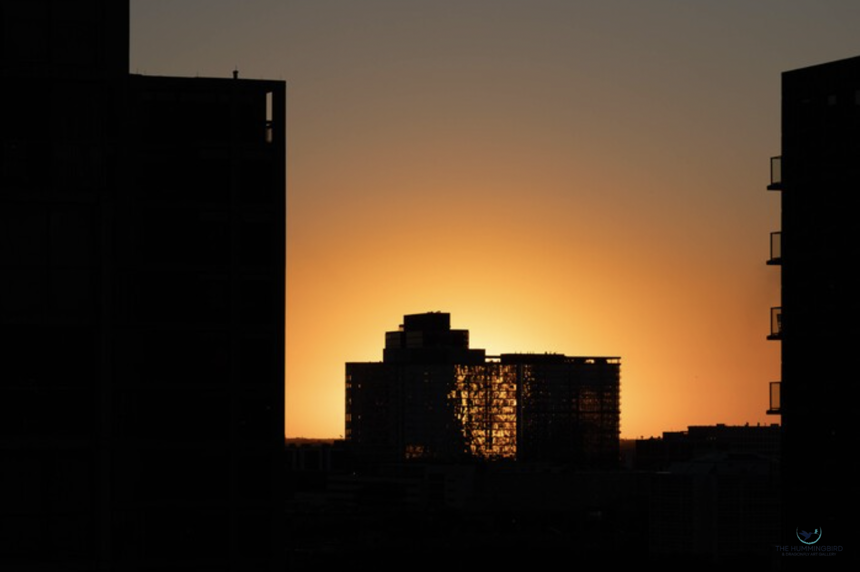 "8:30" Sarah Koppe Photography 9.9" x 14.86" 
2024 $200 