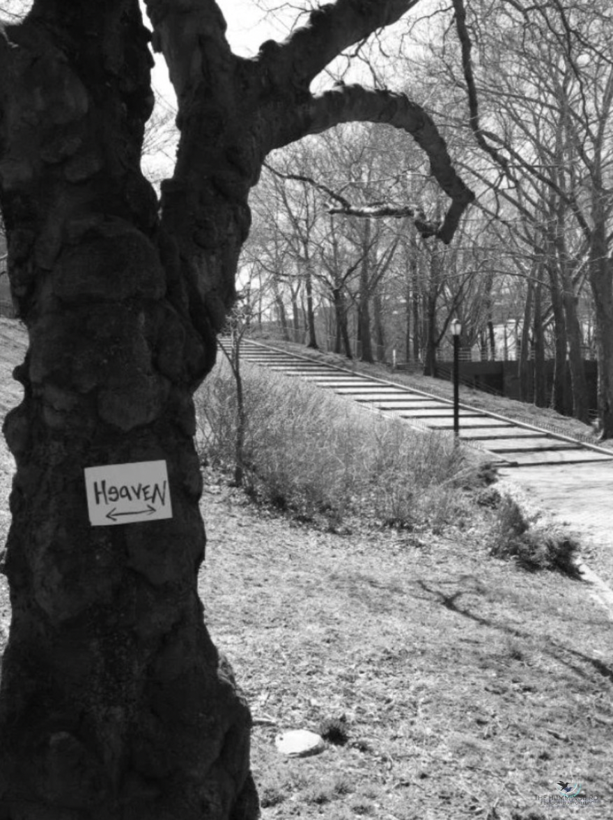 "Stairway to Heaven...?" Sara Oiva Film Photography 10" x 8" 2015 $250