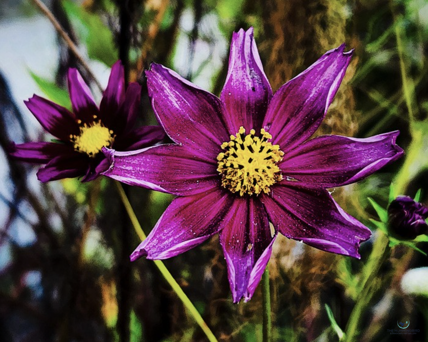 "Last October" 
Louis Staeble 
Photography 
8" x 10" 
2026 
$200 