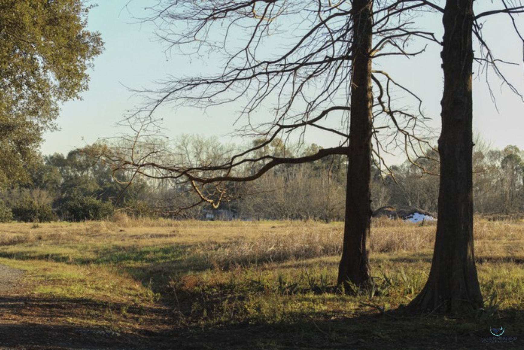 "Silence, Blanketed in Gold" Xavier Landry Photography 8" x 12" 
2025 $300 