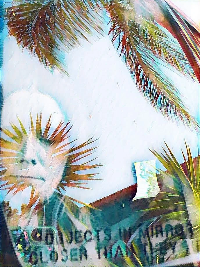 "Objects in Mirror Are Closer Than They Appear" Vincent Mancini Digitally Manipulated Photography 14" x 10" 2025 NFS 