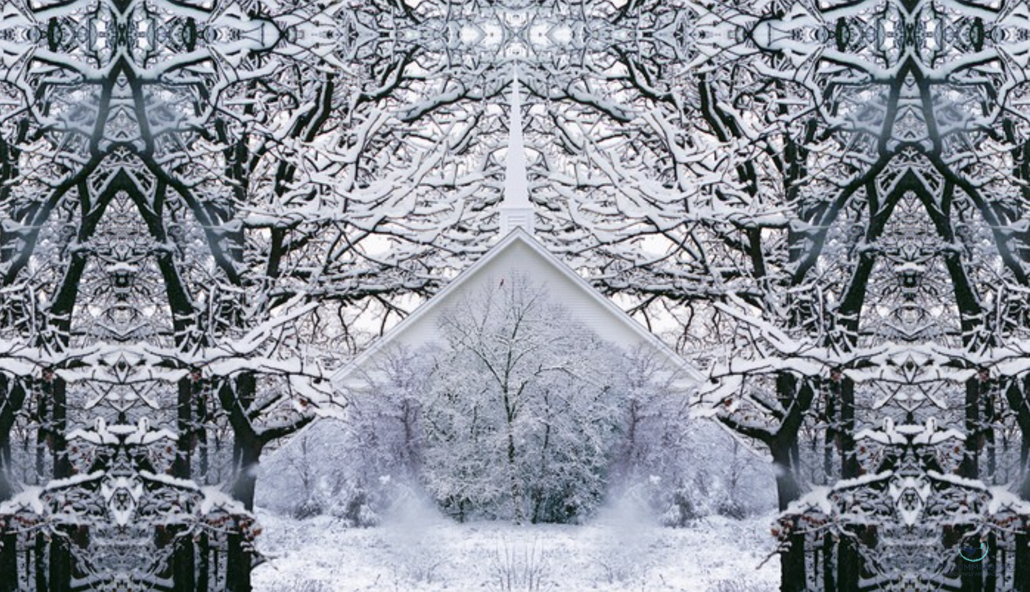 "Chapel In The Woods" David Blow Photography 20" x 30" 
2025 $450 