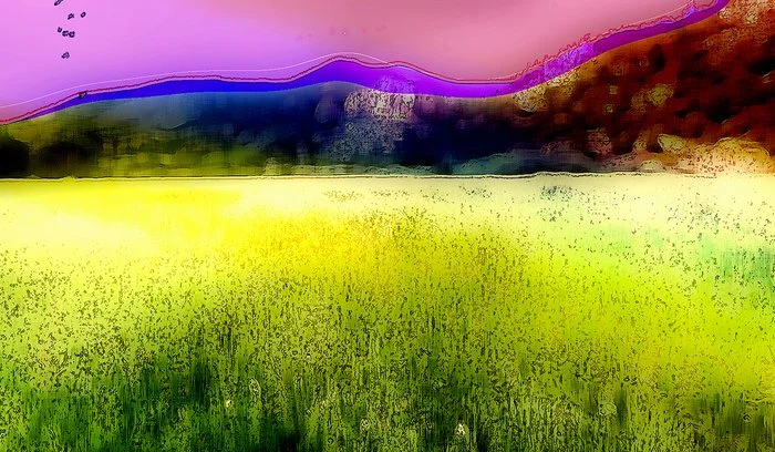 "Butter n' Eggs" Bruce Fayman Aluminum Print 
28" x 48" 
2023 $1,000 
