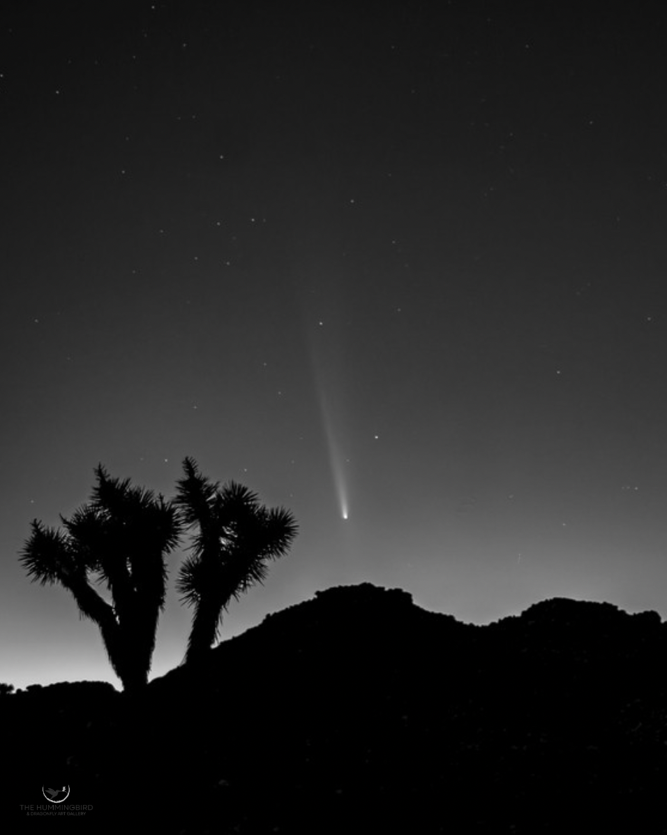 "Celestial Passage"
 Archana Jain Photography 
20" x 16" 2023 
$400 