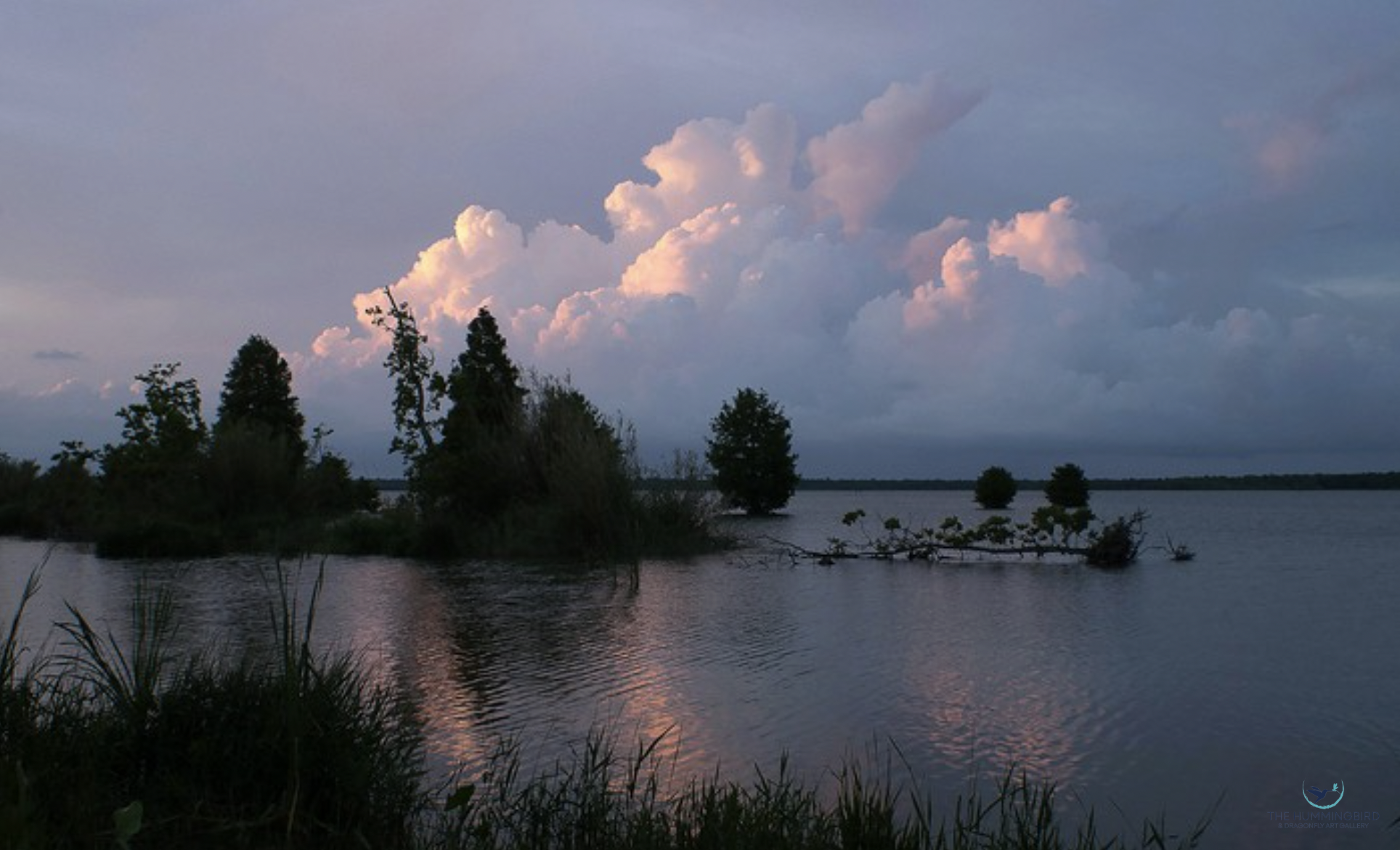 "Blue Hour, Spanish Lake" Bette Kauffman Archival Pigment Print on Photo Paper 10" x 14" 
2013 $300 