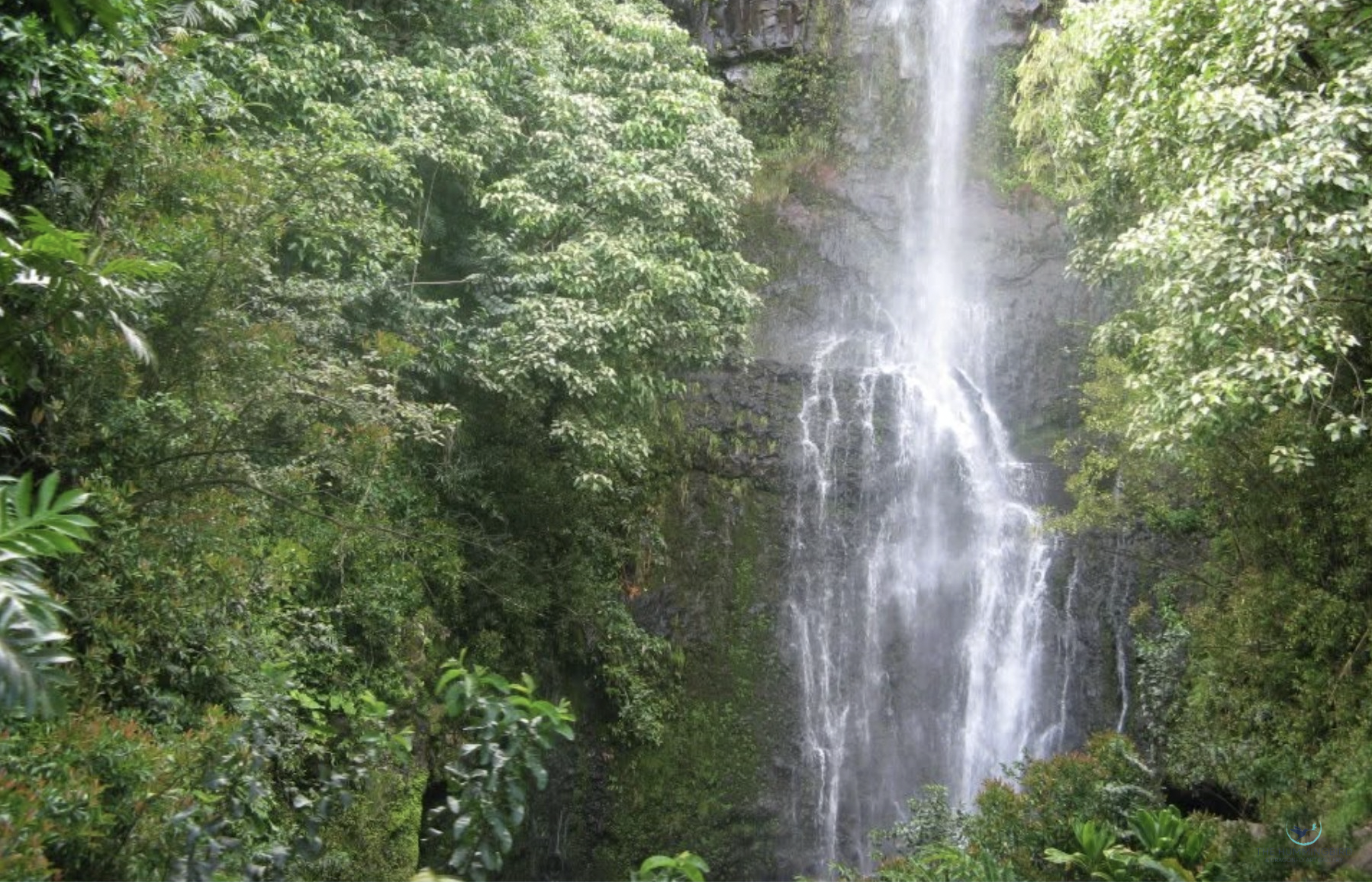 "Waterfall" 
Rita Pono Limited Edition Photography Print; Signed and Numbered by Artist 11" x 14" 
2010 
$400 