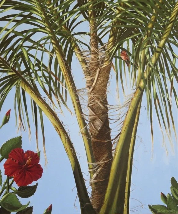 "Hummingbird in a Queen Palm" Deborah Cassolis 
Oil 24" x 20" 2026 
$3,400 