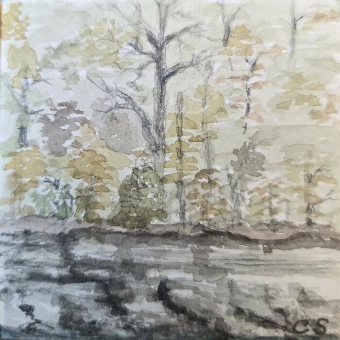 "Bank on Dale Hollow" 
Crystal Sons Watercolor 
2.375" x 2.375" 
2026 
$100 