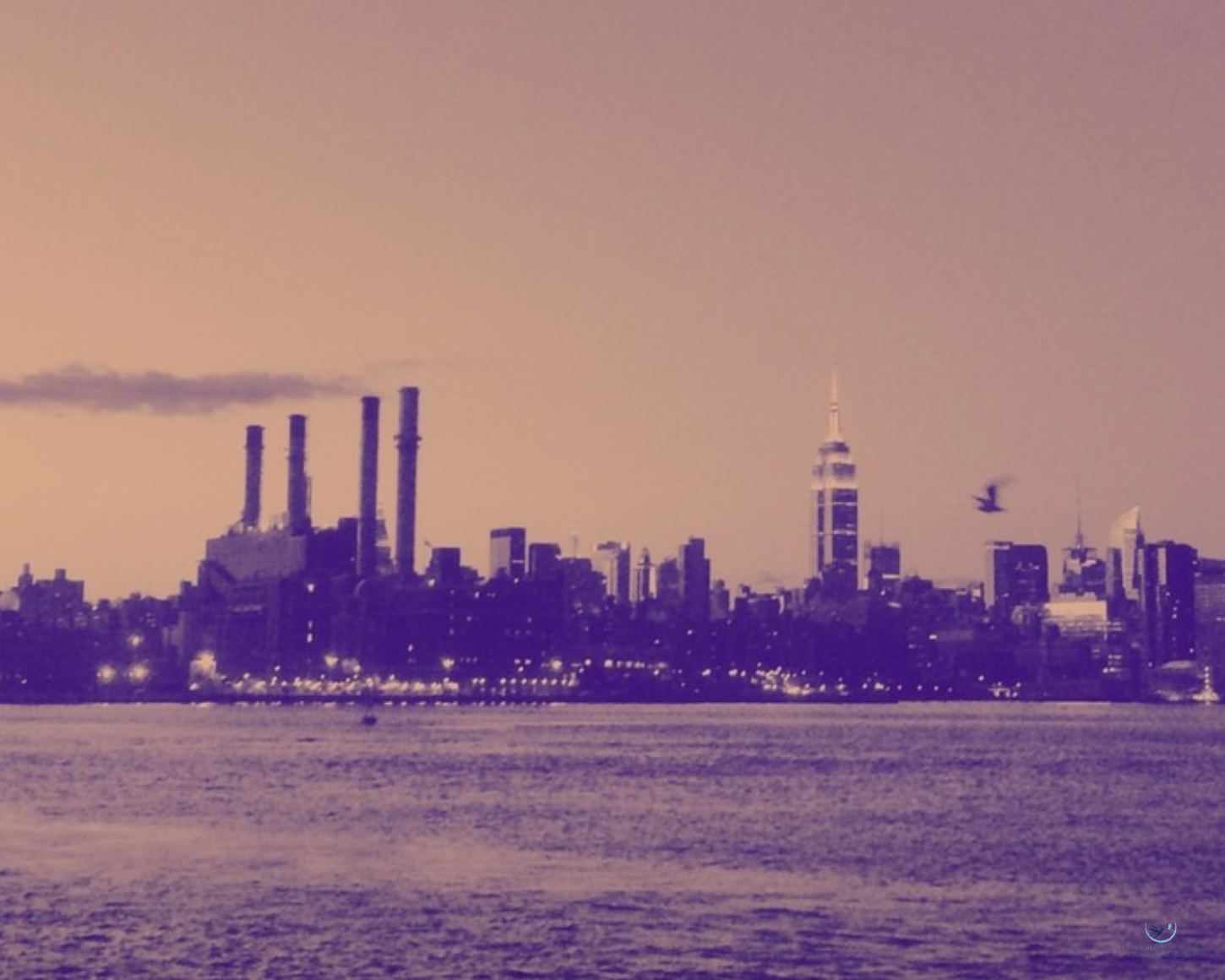 "NYC in Purple" 
Brigitte B Burckhardt 
Photography 
40 cm x 50 cm 
2016 
$325 
