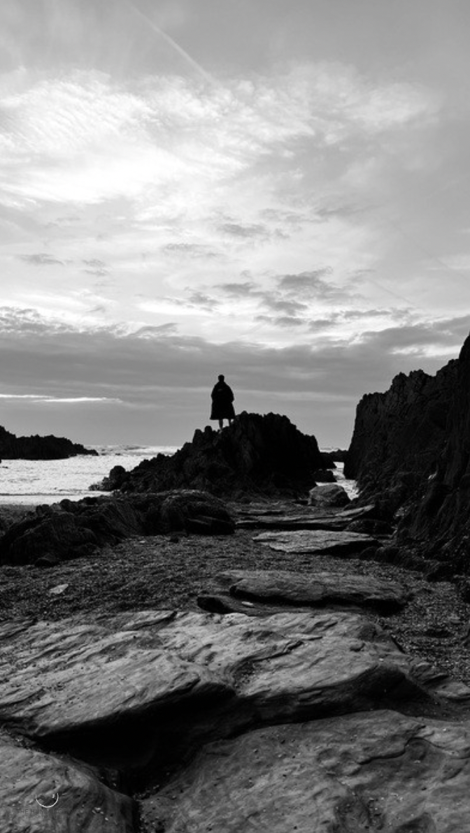 "Looking Out" Brigitte B Burckhardt 
Photography 90 cm x 50 cm 2024 
$425 
