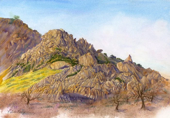 "Texas Canyon, AZ" Roberta Parry Gouache 14" x 20" 
2021 $650 