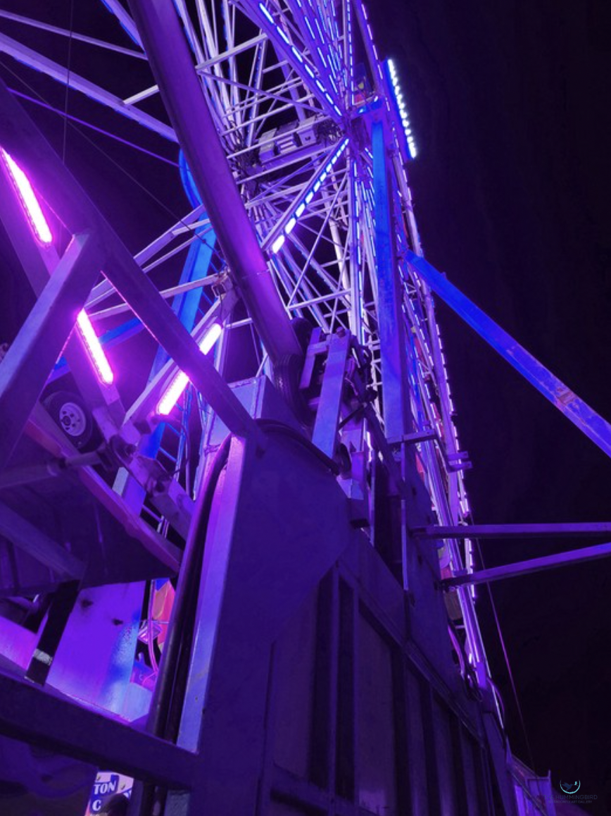 "Ferris Wheel No.gfd35" Elle Cee Photography 16" x 12" 
2021 
$345 