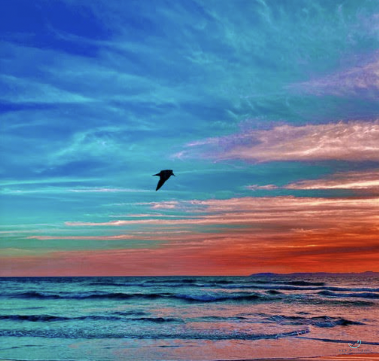 "Seagull Teal Red Sky Sunset" Tamerie Halliday Huntington Beach, CA, USA Photography 14" x 11" 2023 $95 