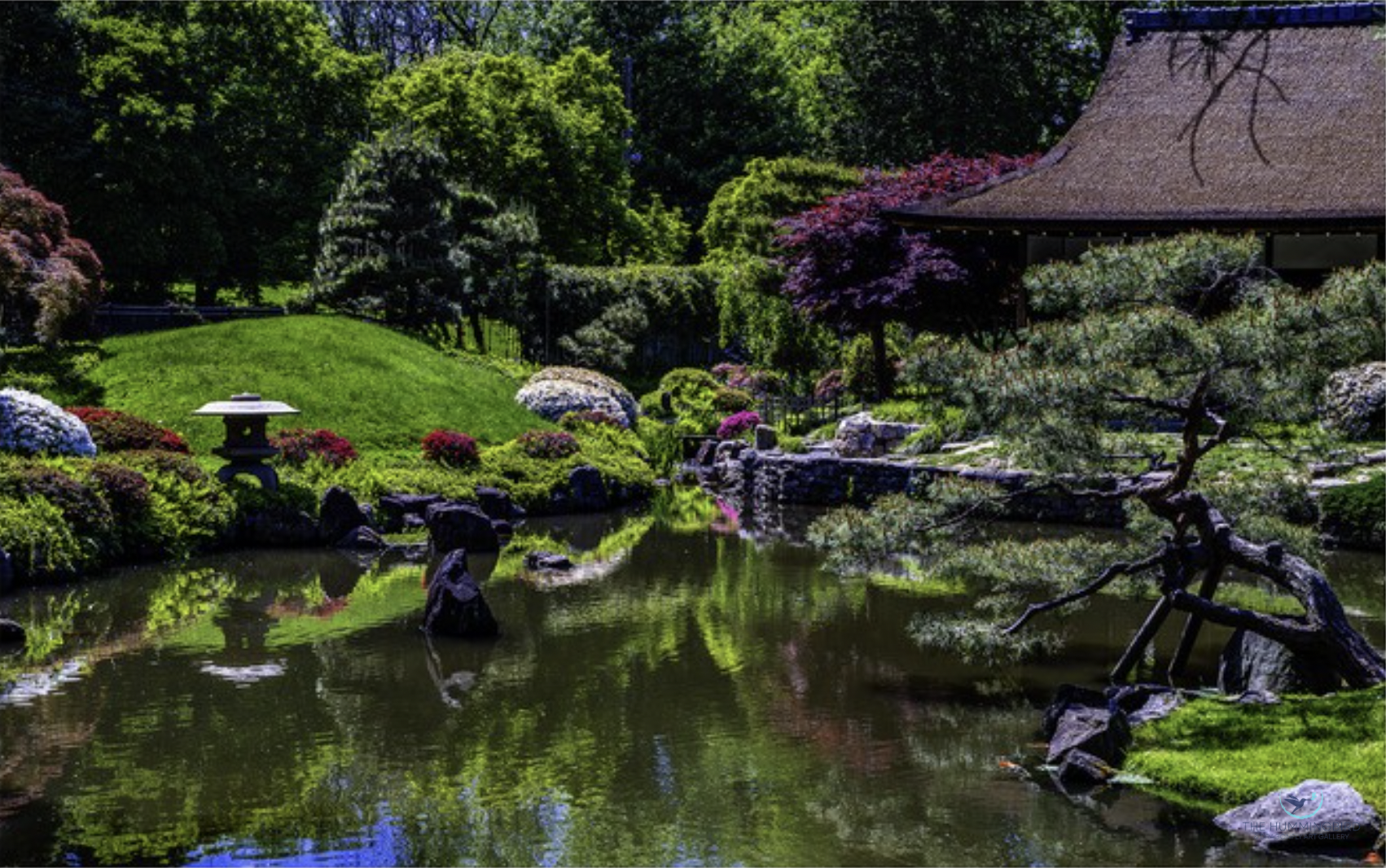 "Japanese Gardens, Philadelphia" Al Kelman Photography 11" x 17" 
2024 $400 