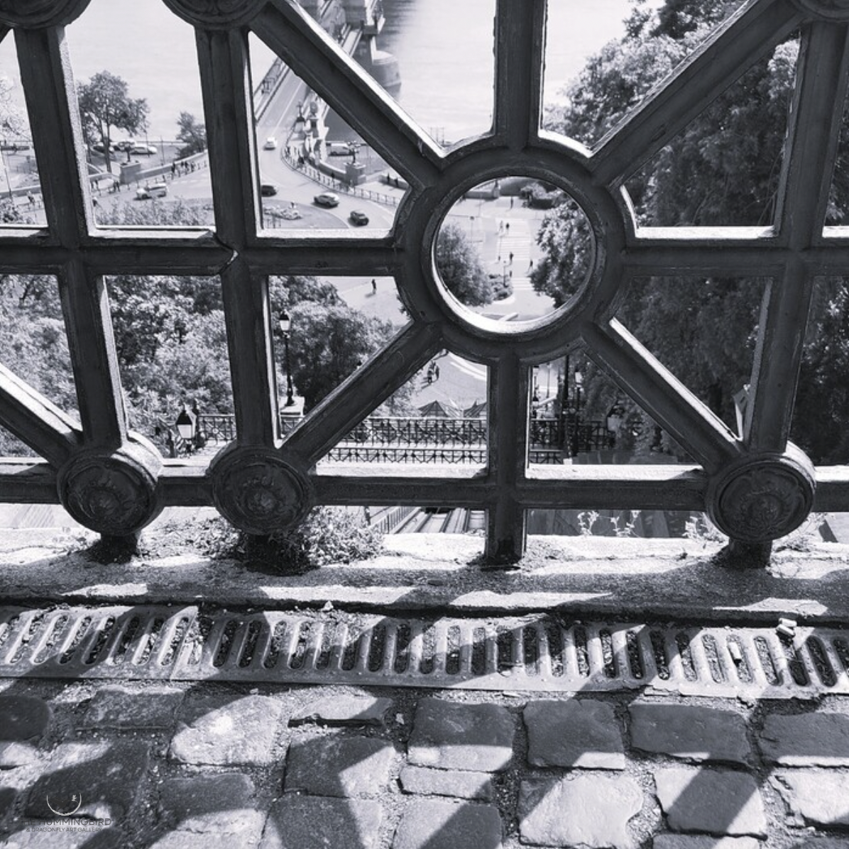 "Iron and Shadow" Shereen Lobdell 
Photography 
14" x 14" 2026 
$200 