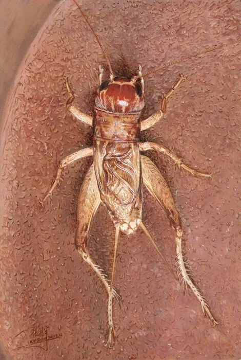 "Red Cricket" 
Xiaoyu Zhang Oil on Canvas 30 cm x 20 cm 
2024 
$5,000 