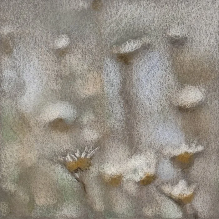 "Into the Weeds No. 2" Lael Salaets Colored Pencil on Grey Paper 12" x 12" 
2025 $125 
