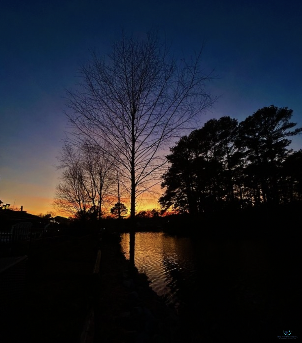 "Day Ending" Anne McMahon Photography 14" x 11" 
2026 
$175 
