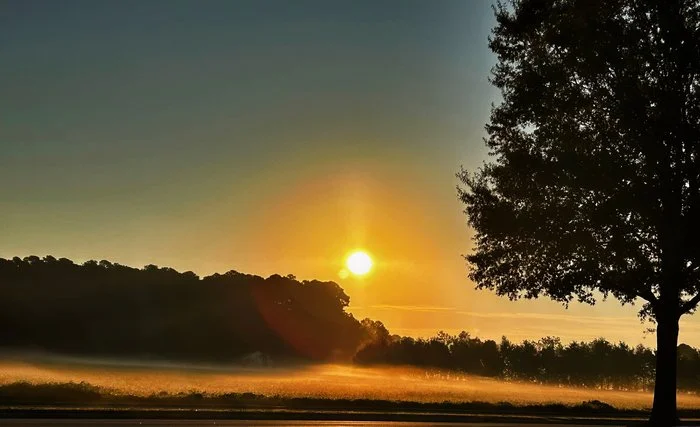 "Morning Glow" Anne McMahon Photography 16" x 20" 
2025 $225 