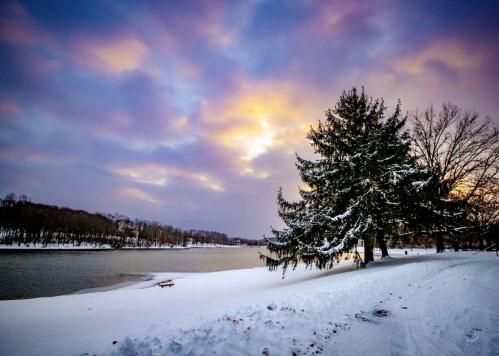 "The Beauty of Winter" Holly April Harris Photography 15" x 21" 
2025 $85 