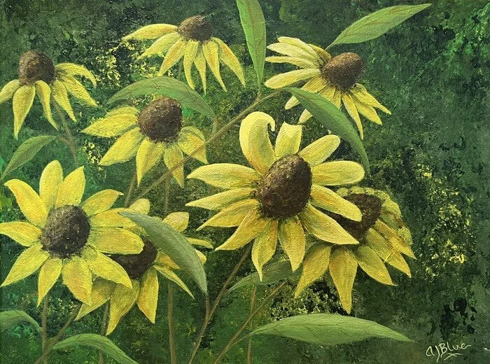 "Black-eyed Susans" 
Alice Blue Acrylic 11" x 14" 
2022 
$375 