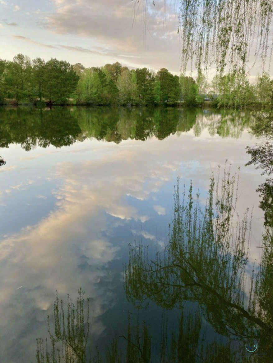 "Morning Reflection" Anne McMahon Photography 20" x 16" 
2024 $250 