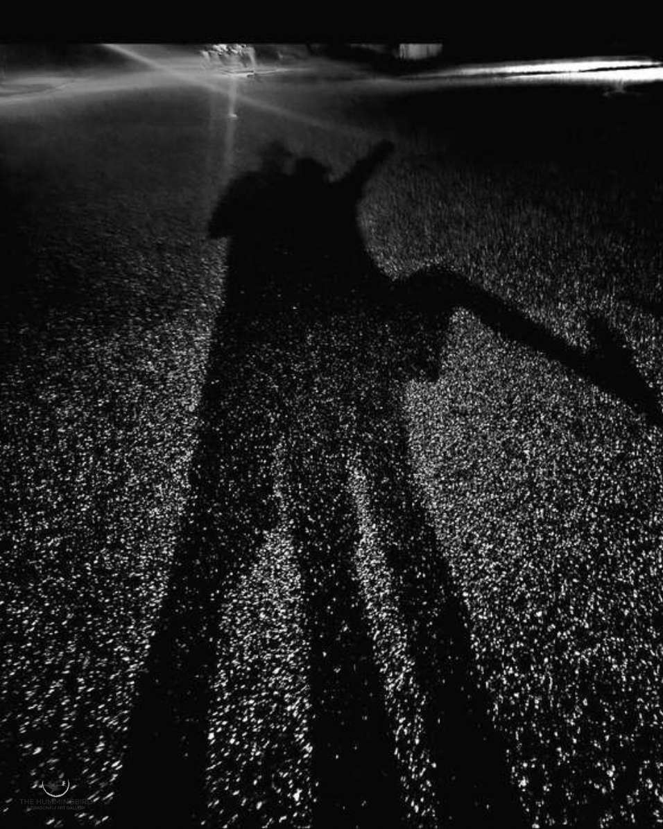 "Night Walk with Dance Steps" Gabriel McLeod Photography 17" x 14"
 2025 
$381 